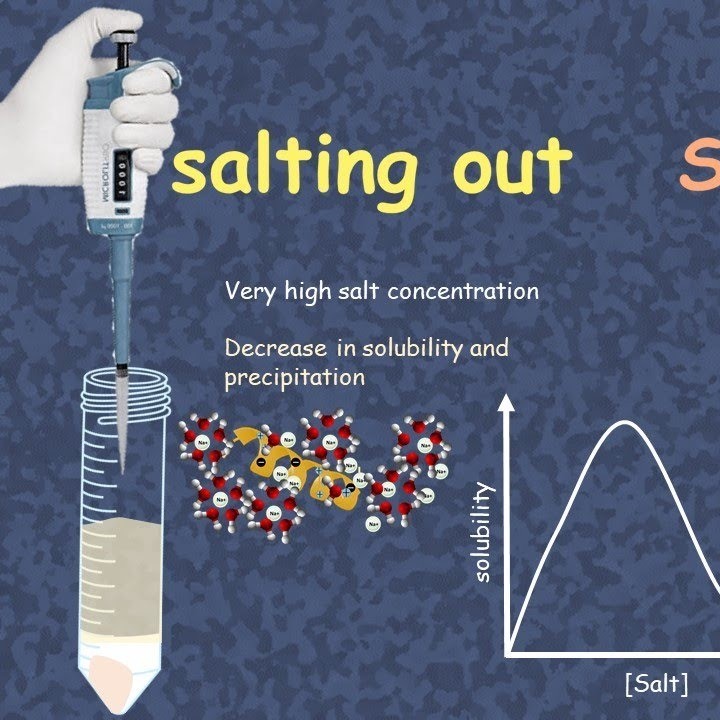 what is dna extraction