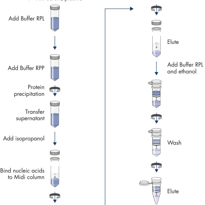 dna and rna extraction