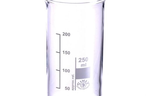 250 ml beaker