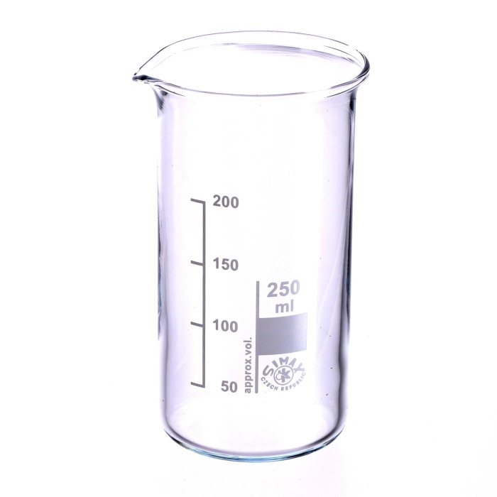 250 ml beaker