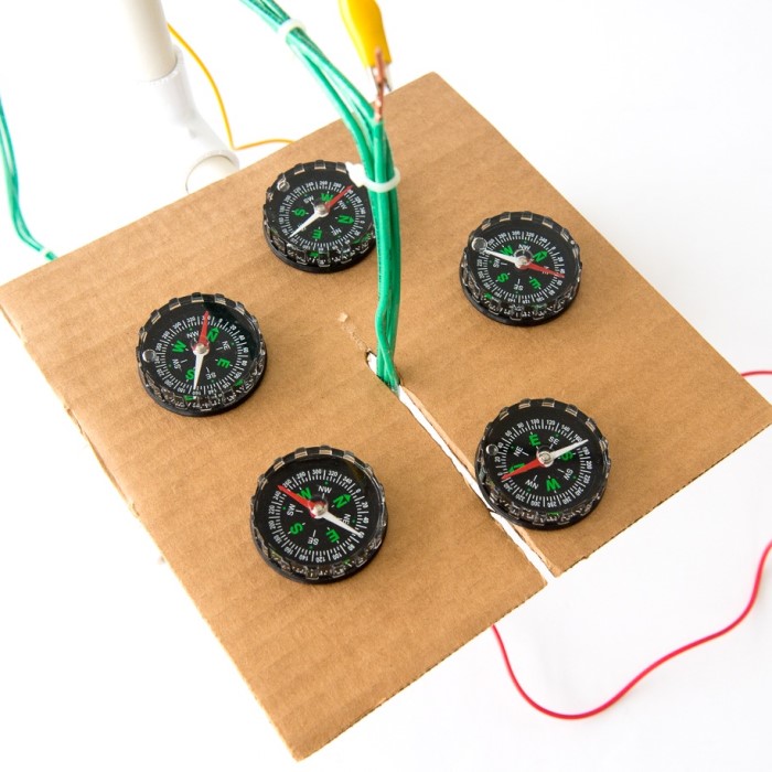 why do compasses point north