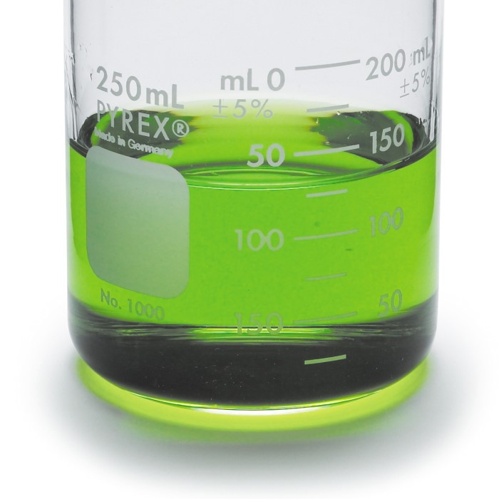 250 ml beaker
