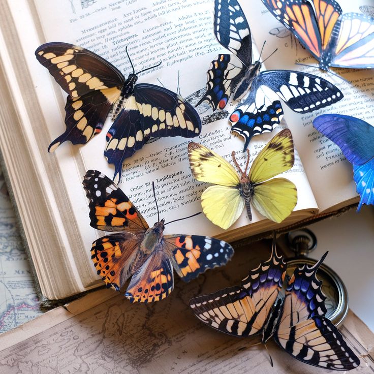 butterfly bookmark