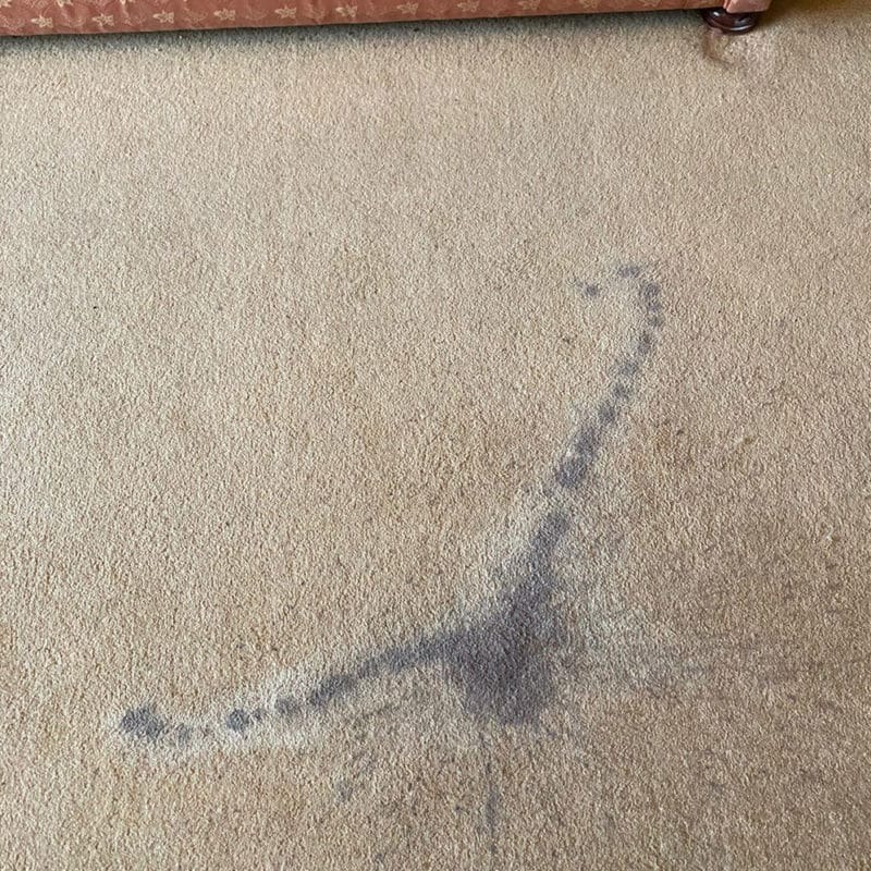 how to get ink out of carpet