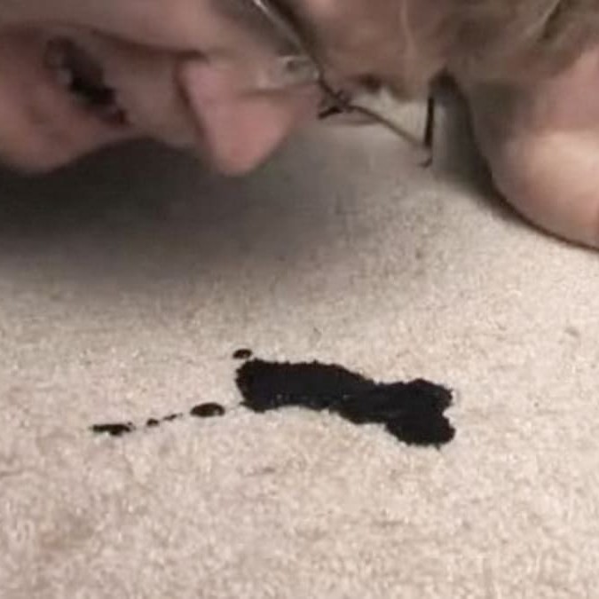 how to get ink out of carpet