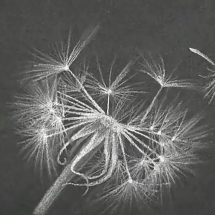 easy white drawing on black paper