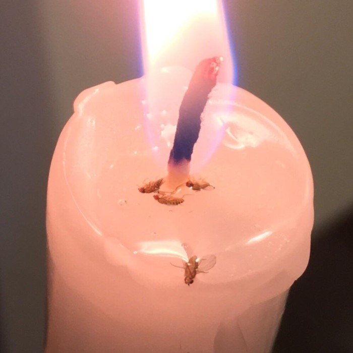 can you fly with a candle