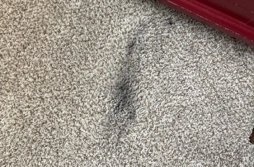 how to get candle wax out of carpet