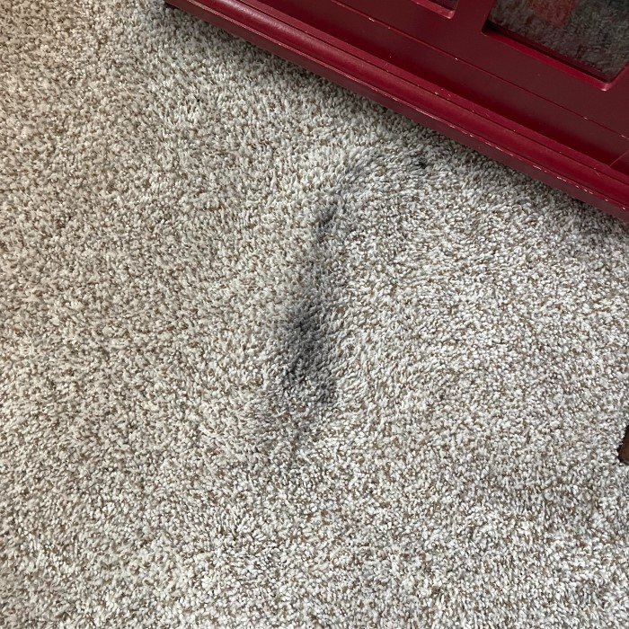 how to get candle wax out of carpet