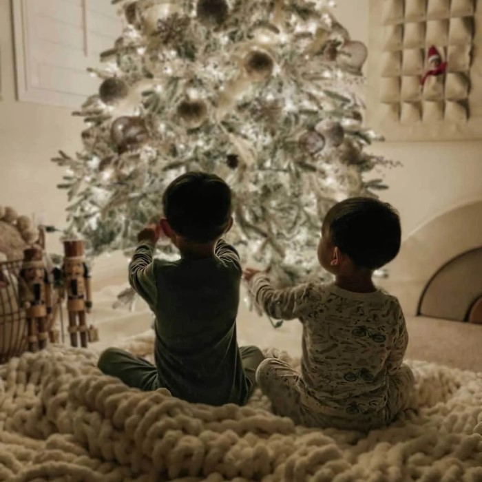 diy christmas photoshoot